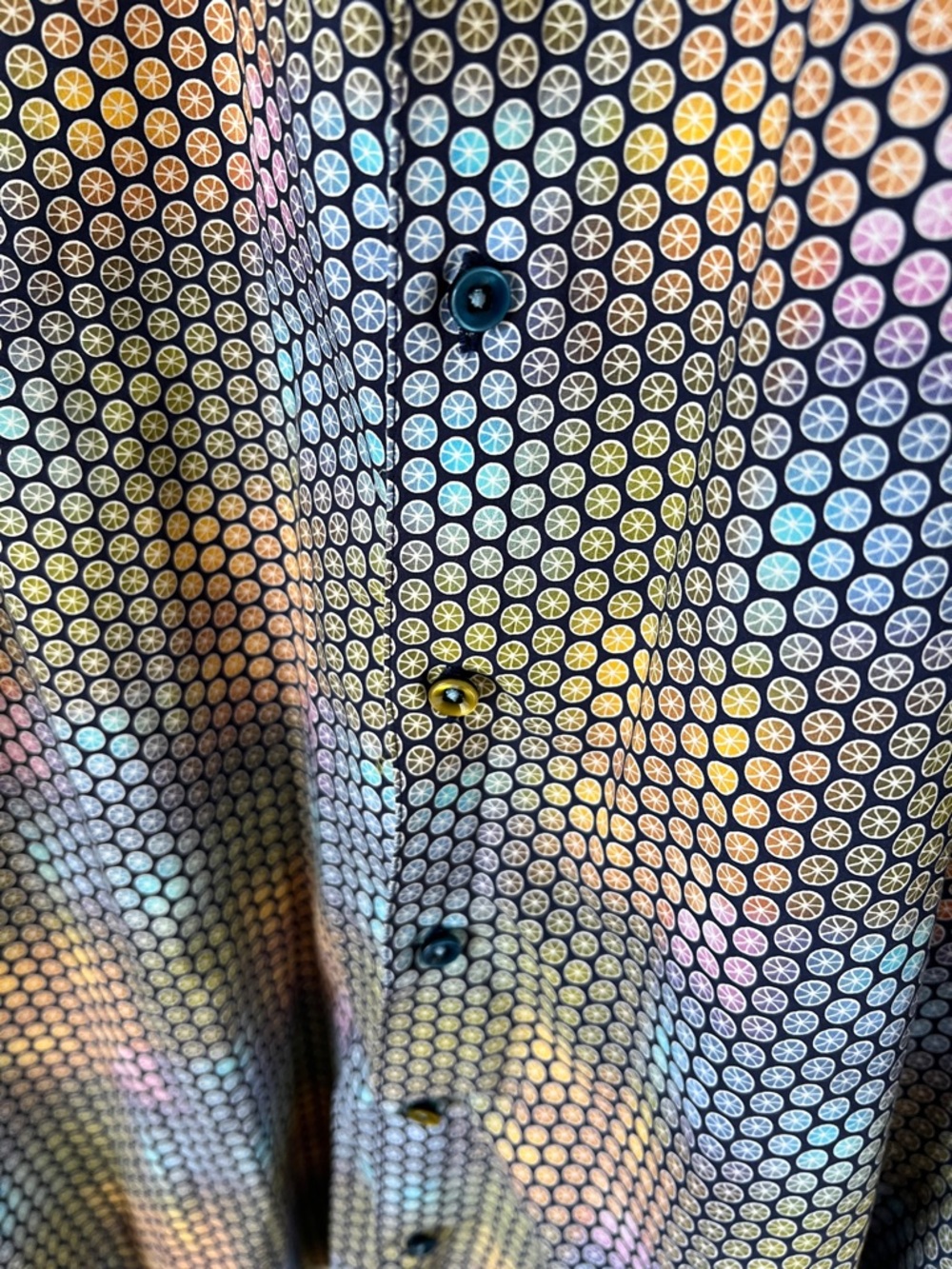 Robert Graham cactus bobs colorful citrus button down shirt - Picture 4 of 11